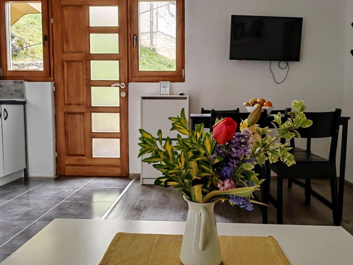 Ive Andrica 3 Lejlighed Višegrad Eksteriør billede